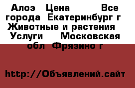 Алоэ › Цена ­ 150 - Все города, Екатеринбург г. Животные и растения » Услуги   . Московская обл.,Фрязино г.